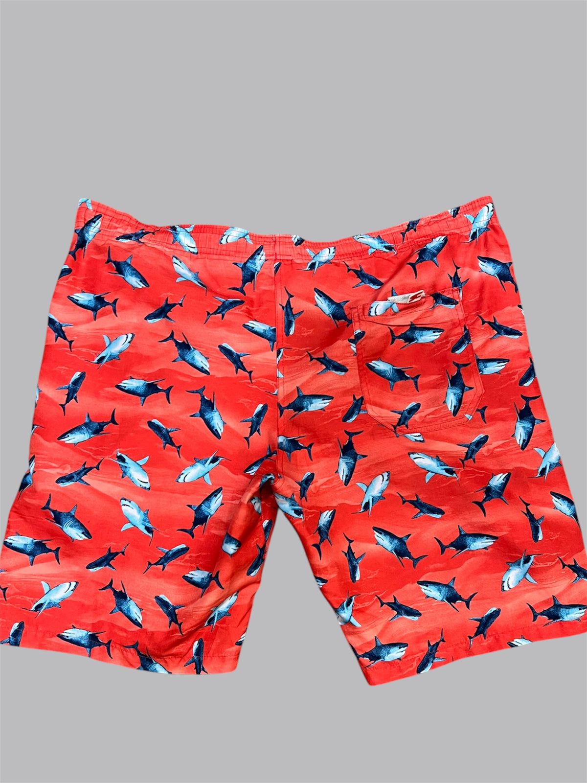 Bermuda Beach Shark — tam 52