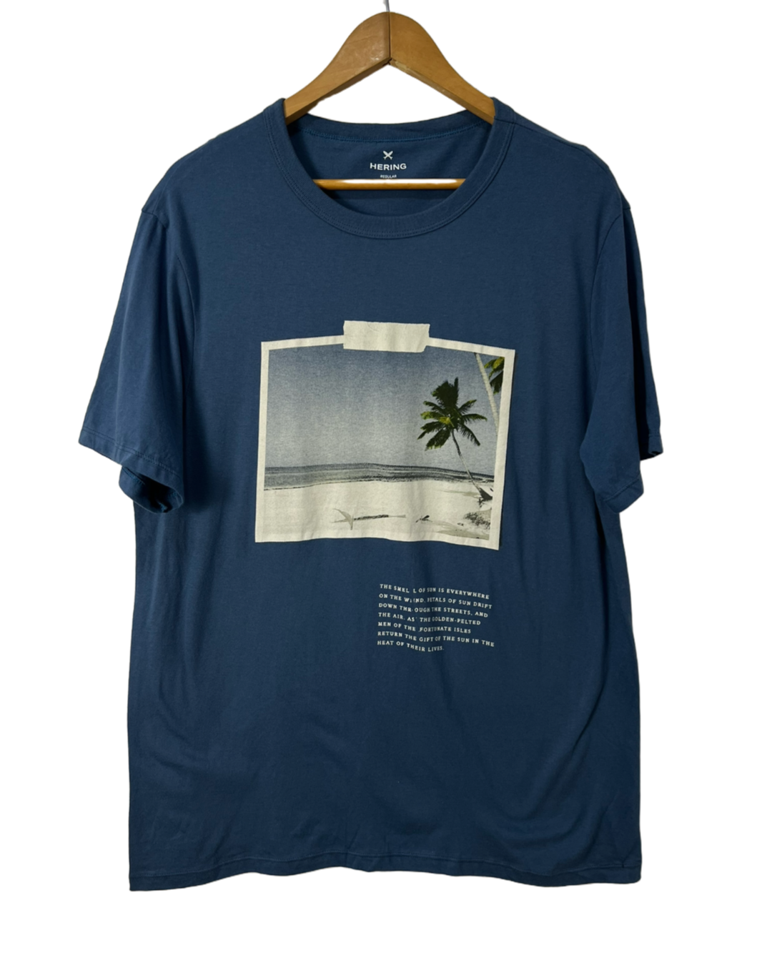 Camiseta Hering - tam (G)